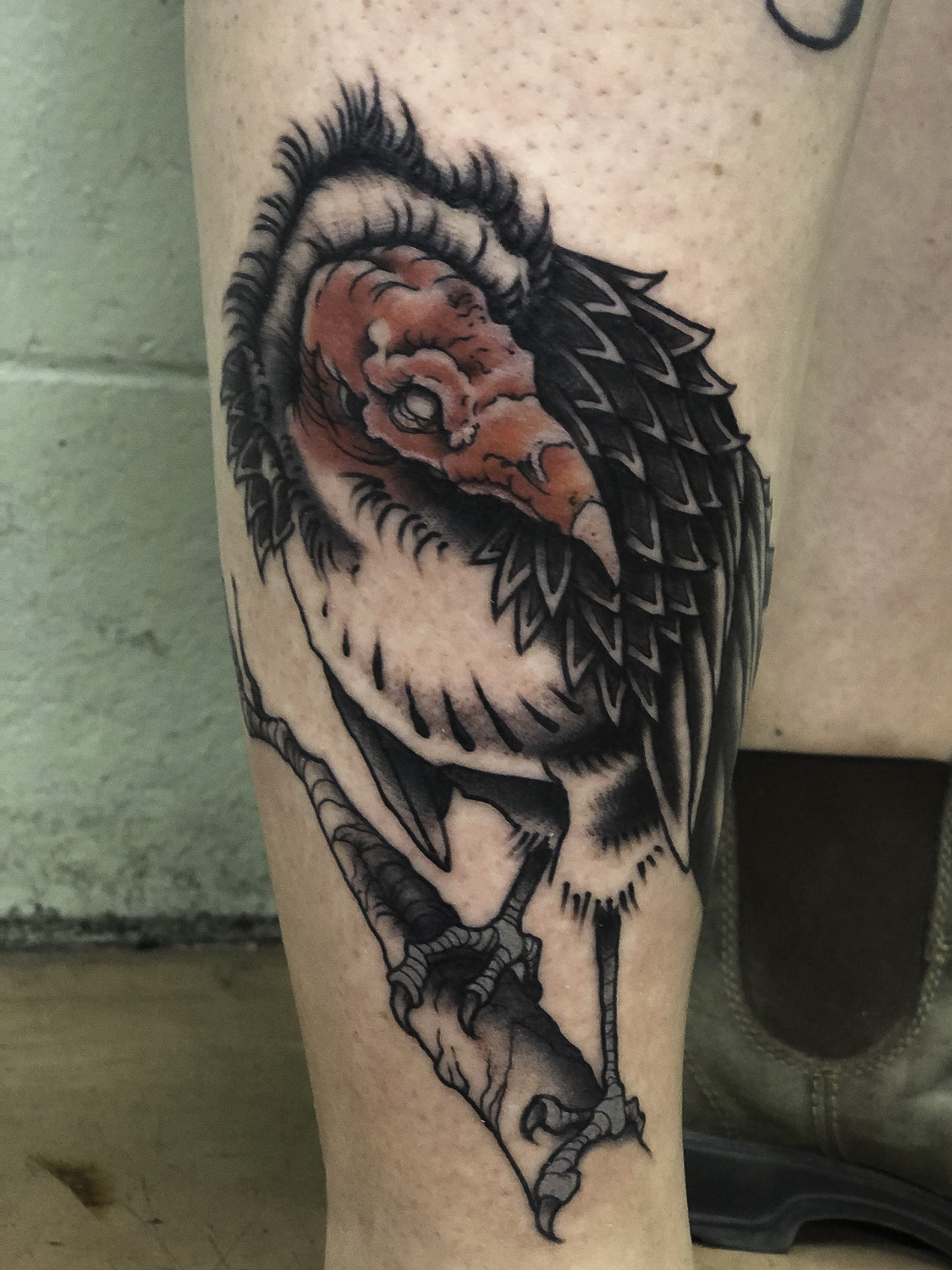The bateleur eagle has to be one of the coolest looking birds. . . . . . .  #tattoosociety #tattoorealistic #tattoomodels #tattoolifesty... | Instagram